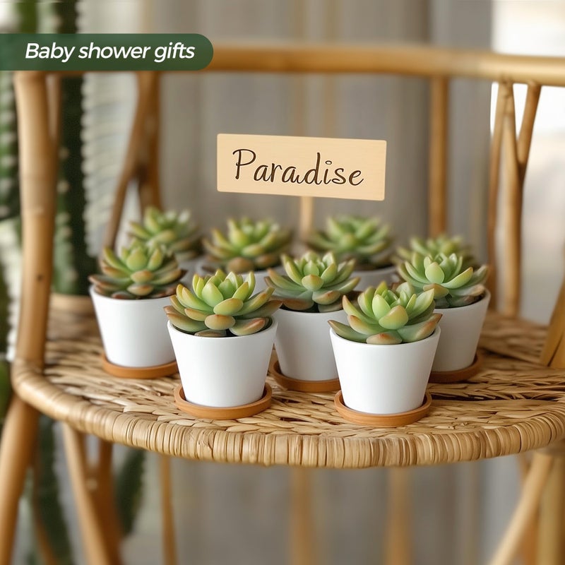 T4U 2.5 Inch Mini White Succulent Planter Pots with Bamboo Tray Round Set of 12, Tiny Ceramic Succulent Air Plant Flower Pots Cactus Faux Plants Containers, Gifts for Plant Lover, Home Office Decor - Image 5